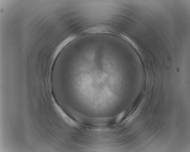 X0000076351434200610061515