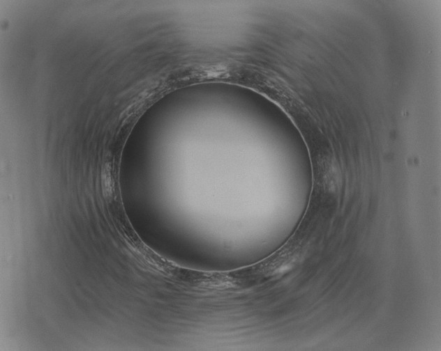 X0000076351442200610061514