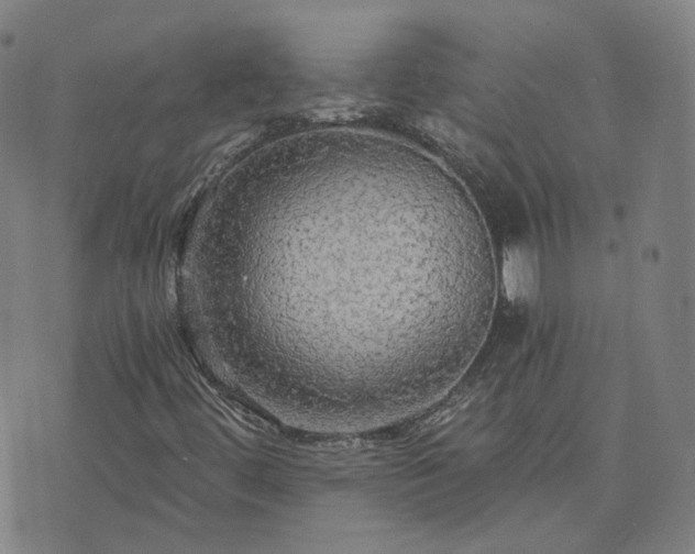 X0000076351444200610061514