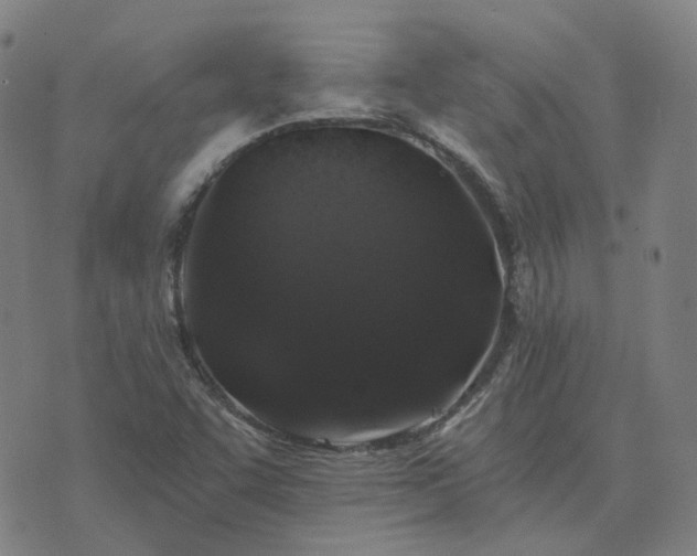 X0000076351455200610061514