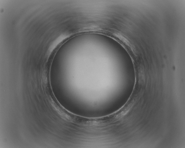 X0000076351458200610061514