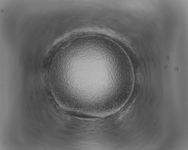 X0000076351494200610061512
