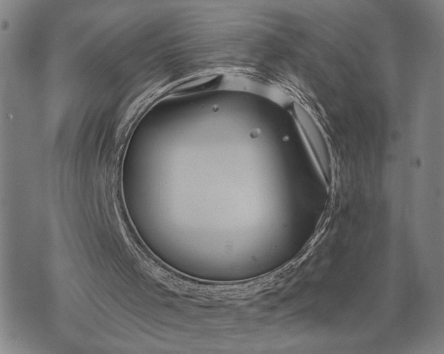 X0000076350001200610161810