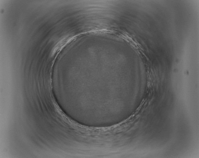 X0000076350002200610161810