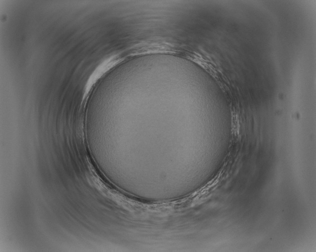 X0000076350004200610161810