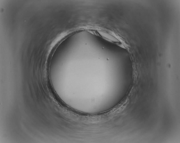 X0000076350008200610161810