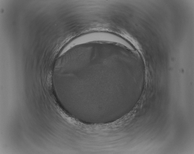 X0000076350009200610161810