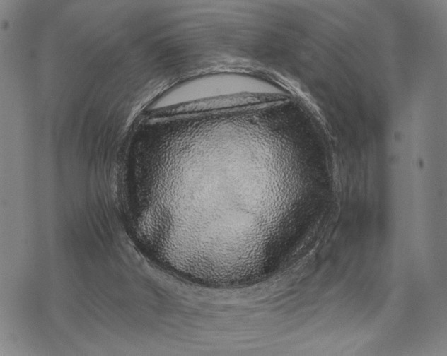 X0000076350010200610161810