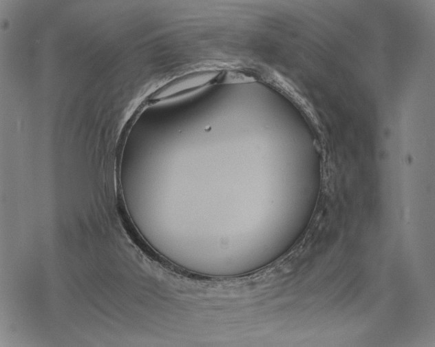 X0000076350011200610161810