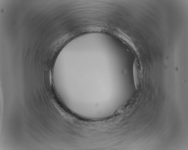 X0000076350013200610161810