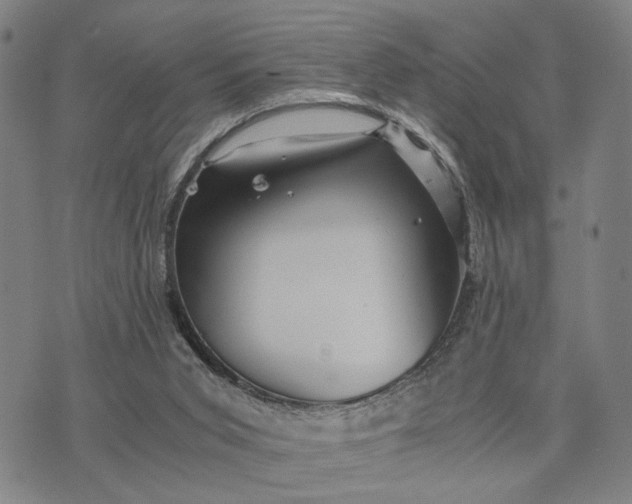 X0000076350015200610161810