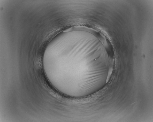 X0000076350017200610161810