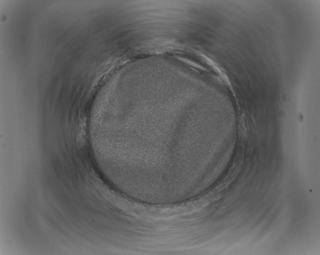 X0000076350018200610161810