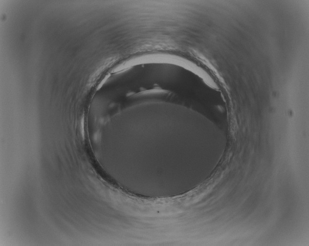 X0000076350019200610161810