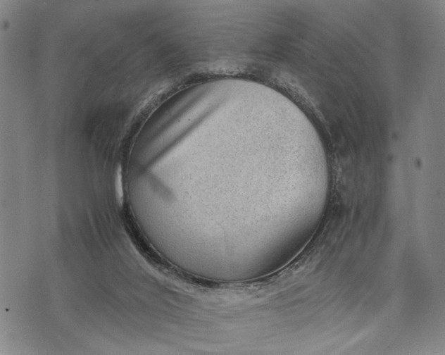 X0000076350020200610161810