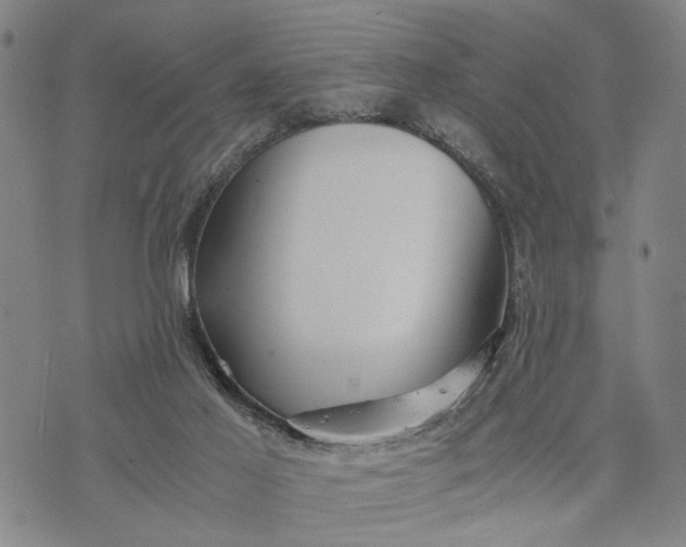 X0000076350021200610161810