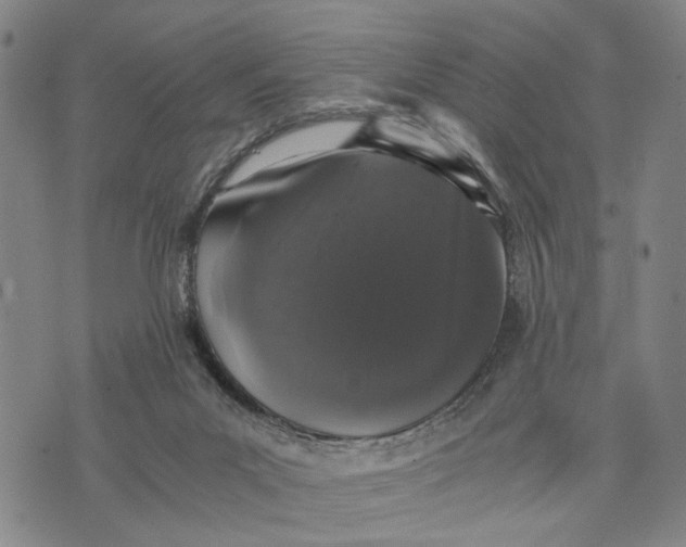 X0000076350023200610161810