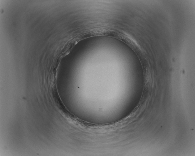 X0000076350025200610161810