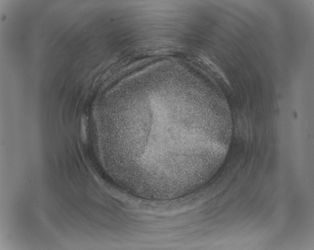 X0000076350026200610161810