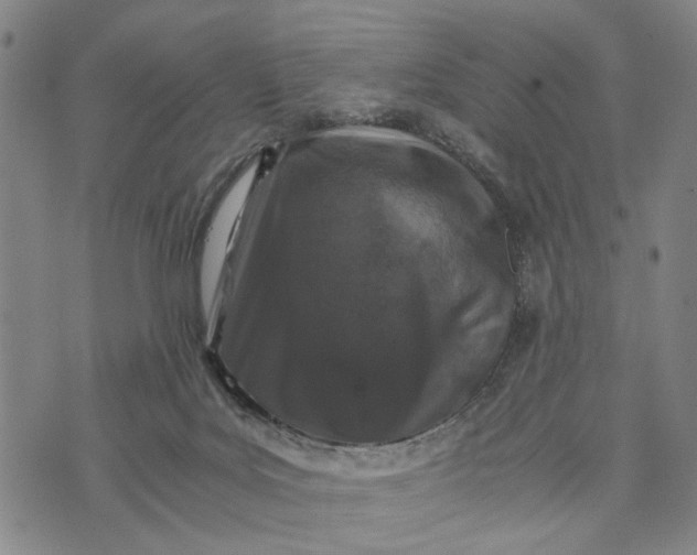 X0000076350027200610161810