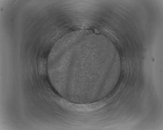 X0000076350030200610161810