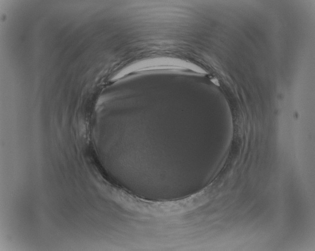 X0000076350031200610161810