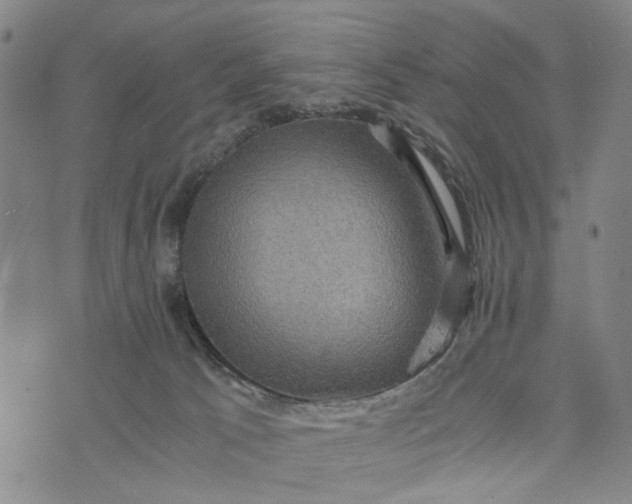 X0000076350033200610161810