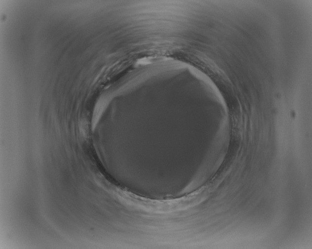 X0000076350035200610161810