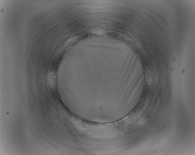 X0000076350036200610161810