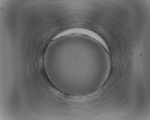 X0000076350037200610161810