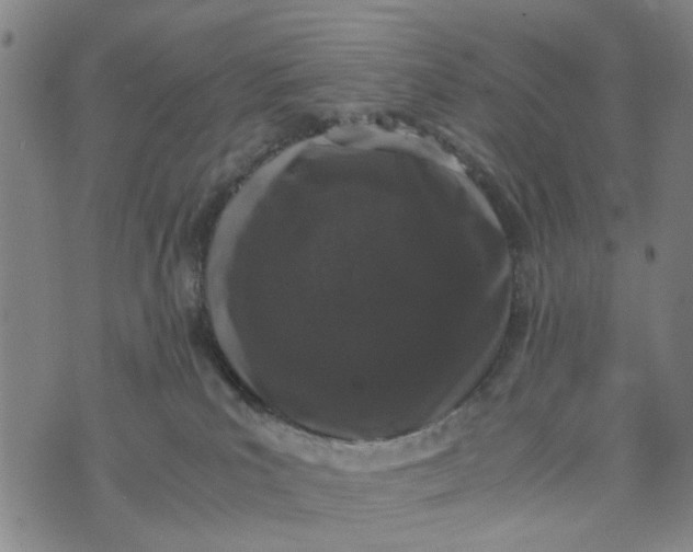 X0000076350039200610161810