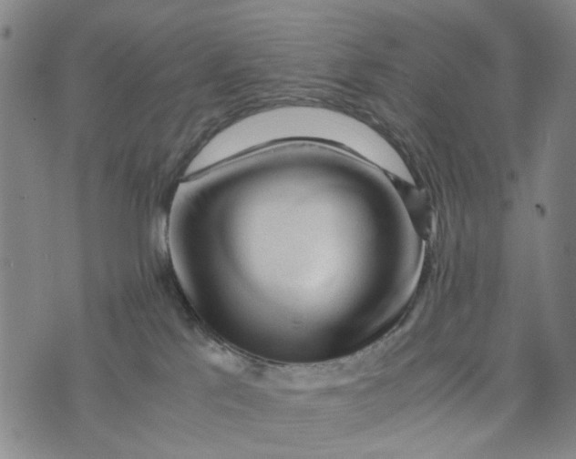 X0000076350041200610161810