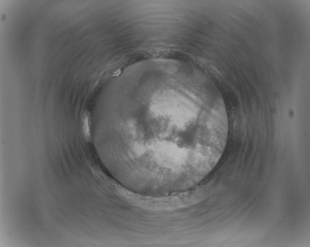 X0000076350042200610161810