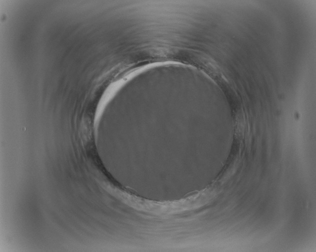 X0000076350043200610161810