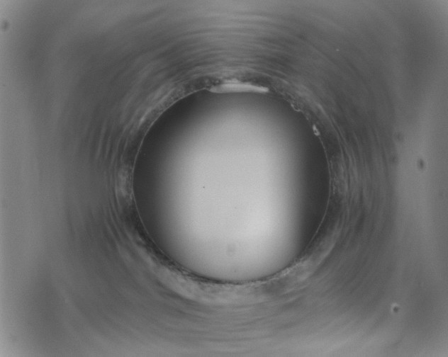 X0000076350044200610161810