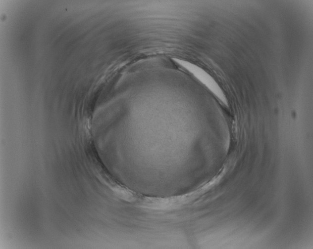 X0000076350045200610161810