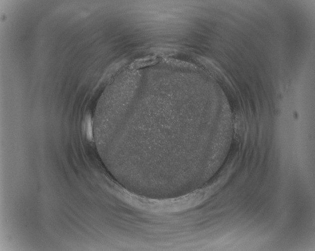 X0000076350046200610161810