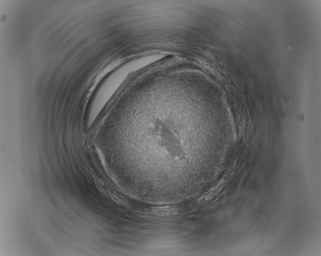 X0000076350050200610161809