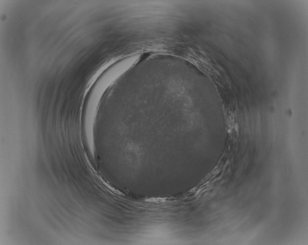 X0000076350052200610161809