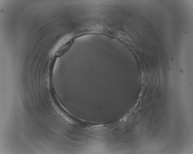 X0000076350054200610161809