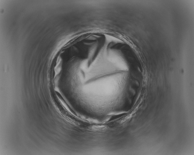 X0000076350055200610161809