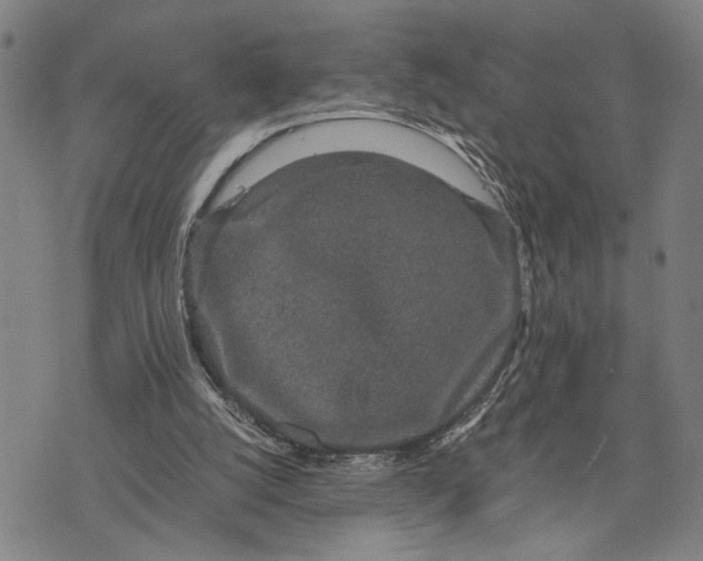 X0000076350056200610161809