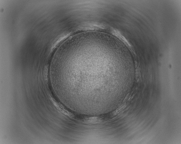 X0000076350058200610161809