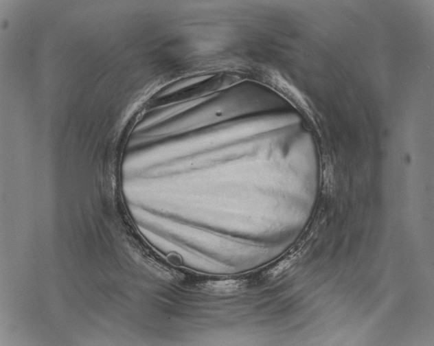 X0000076350059200610161809