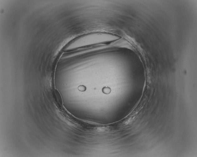 X0000076350060200610161809