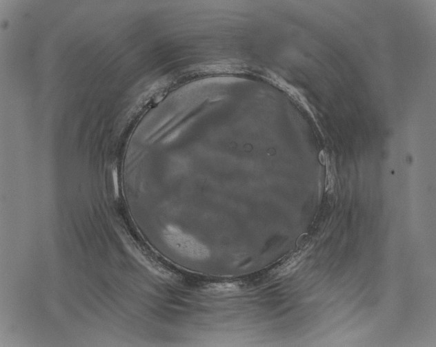 X0000076350061200610161809