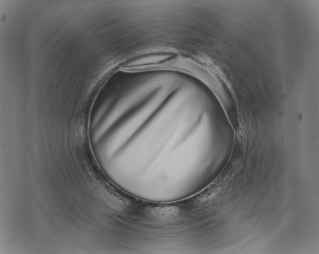 X0000076350063200610161809