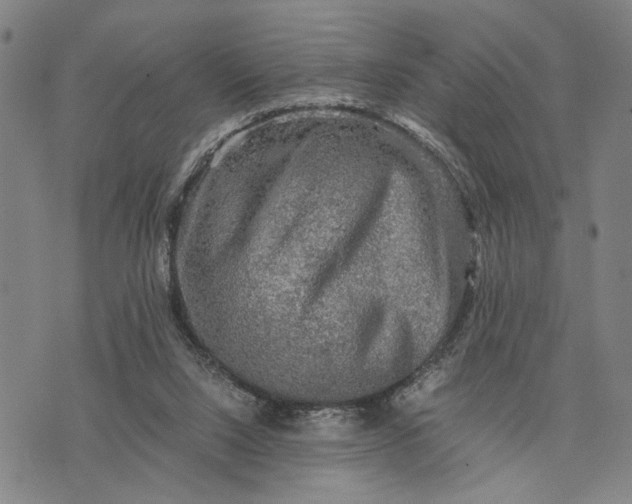 X0000076350064200610161809