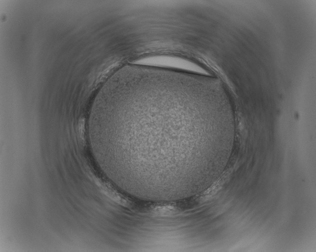 X0000076350066200610161809