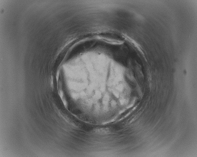 X0000076350067200610161809